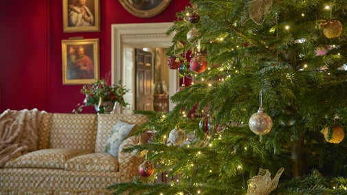 Image shows part of a decorated Christmas tree in the Octagon Room at Basildon Park, with the room's furnishings visible in the background, including a couch and gold-framed portraits against a red wall